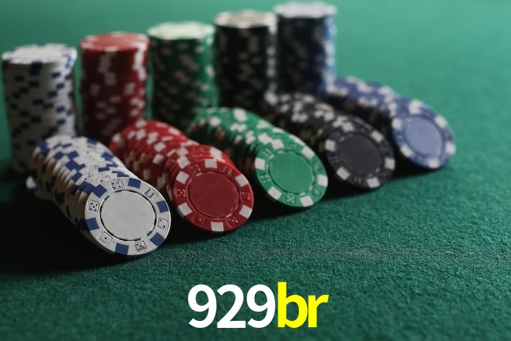 Experiência VIP 929br